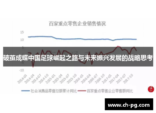 破茧成蝶中国足球崛起之路与未来振兴发展的战略思考