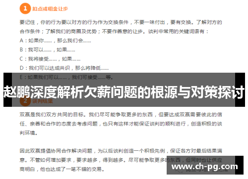 赵鹏深度解析欠薪问题的根源与对策探讨