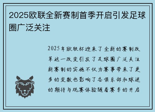2025欧联全新赛制首季开启引发足球圈广泛关注