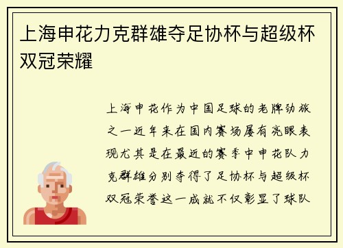 上海申花力克群雄夺足协杯与超级杯双冠荣耀